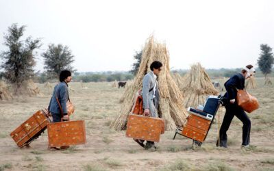 SETENA ADJUDICACIÓ DEL CONCURS PERMANENT DE TRASLLATS