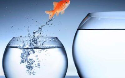 Correus convoca nou Reajustament local