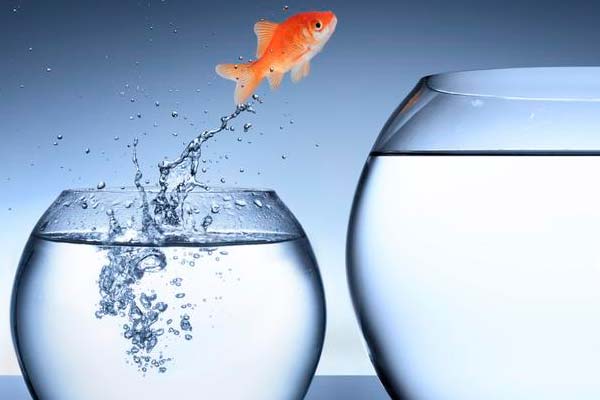 Correus convoca nou Reajustament local